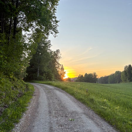 fina-stina