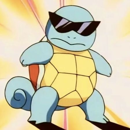 uniquetortoise
