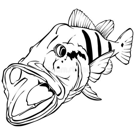 fiskefynd