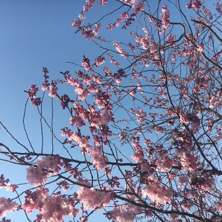 KristoferPaulNilsson