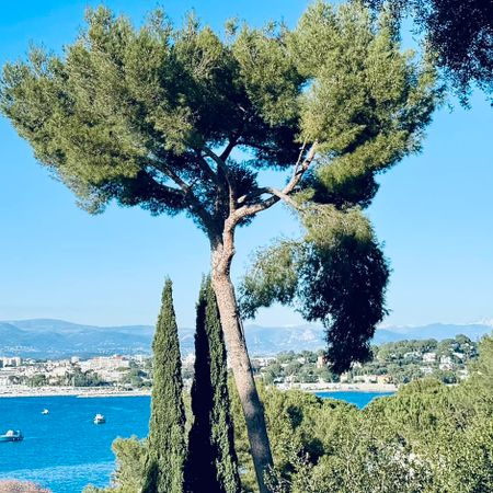 Provencesoleil