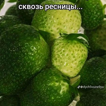Subota