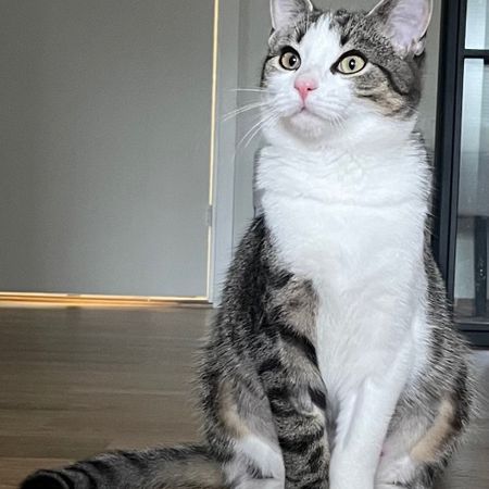 MissCat59