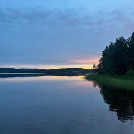 linntyni