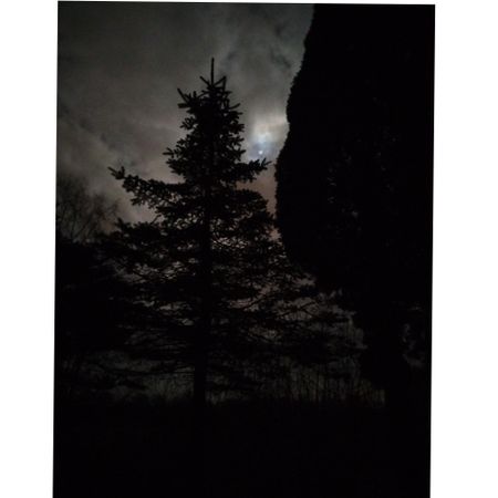 Ermir