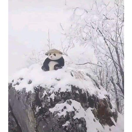 Moowan