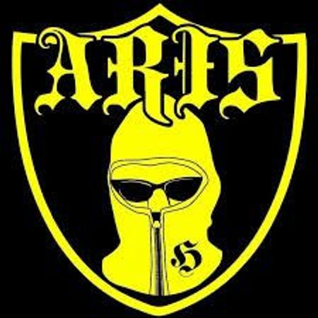 Arisbjork
