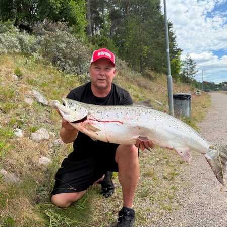 Fiskeforalla
