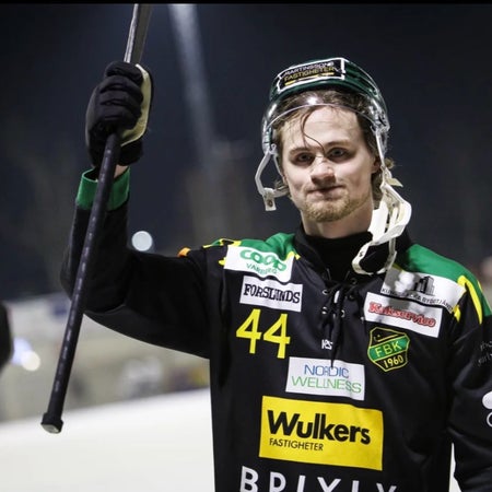 Gabriel.Hultgren