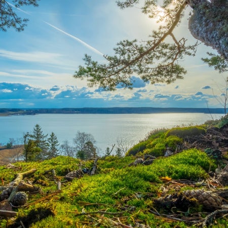 Patrik_026