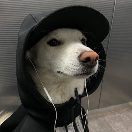 Nöjdcard