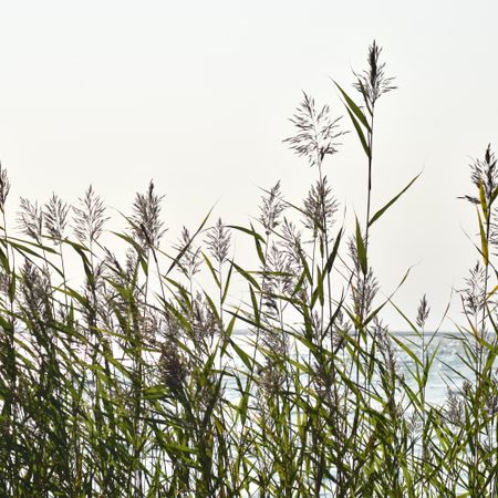 MarisKristallerStenar