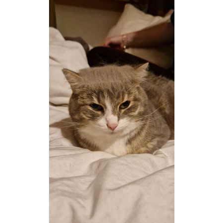 tobysplace