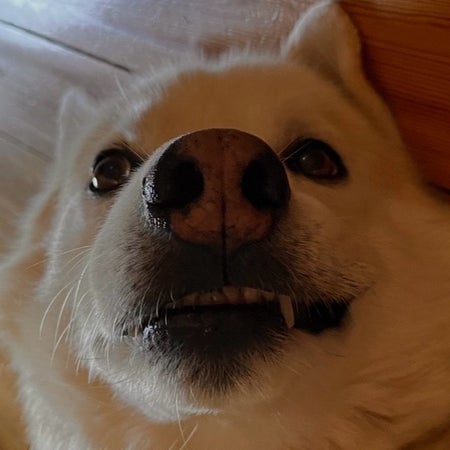 SimonMW03