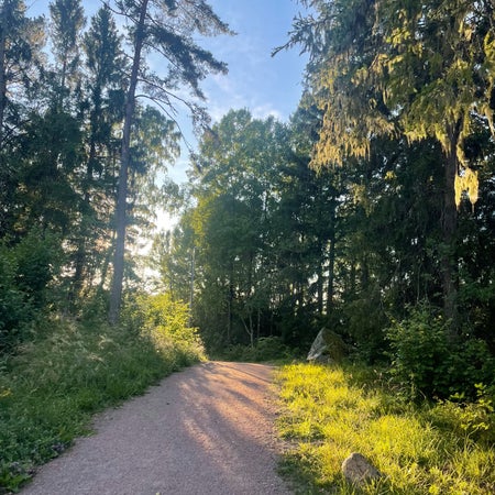 SolstrålensLjus
