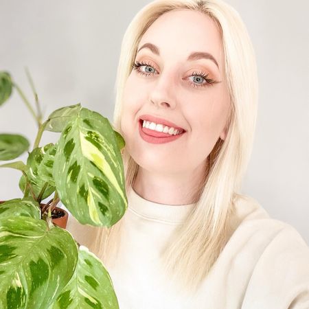 Lillplantan