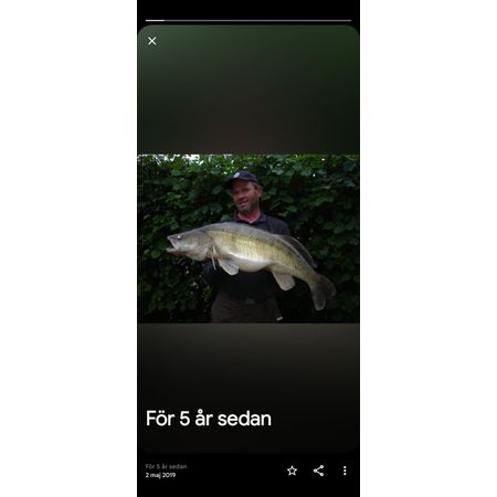 Feskargubben