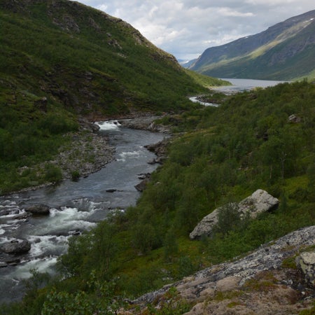 Petterssonjim