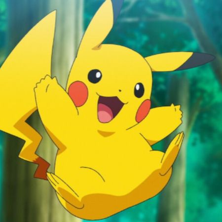 PokekortDirekt