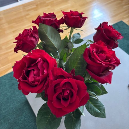 Ann111