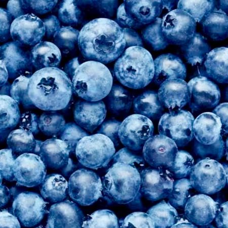 blueberry28