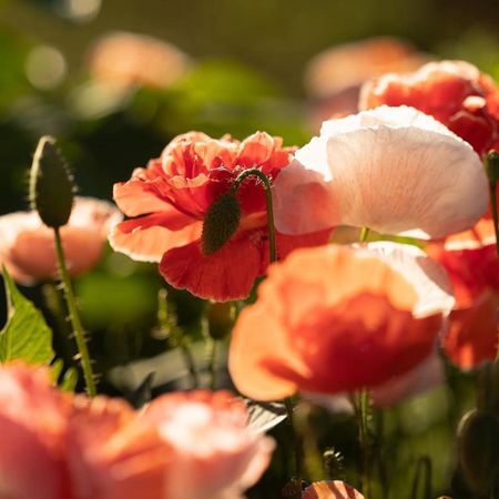 lovelymonday