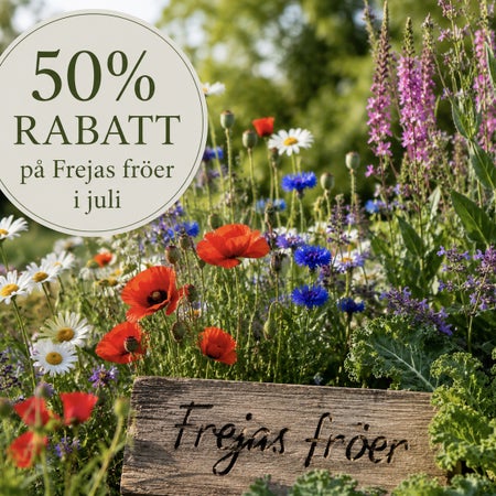 Frejasfröer