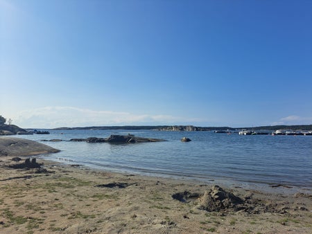 TessNilsson_88