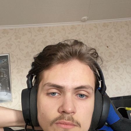 Albin_sakkinen