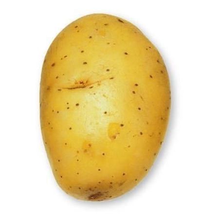 Aardappel