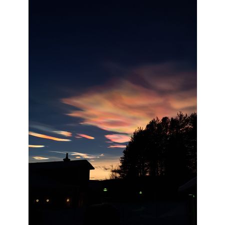 Alvisenk