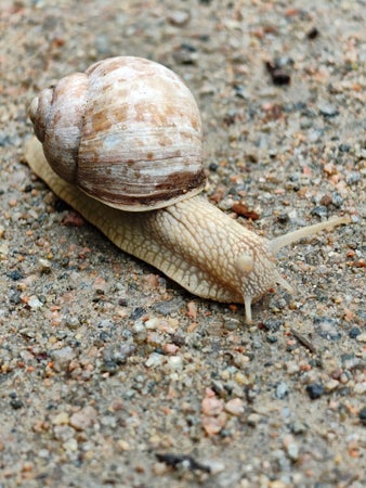 TraktorJ