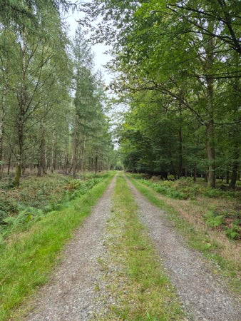 LindaB2025