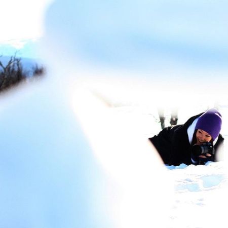 independent_hedgehog