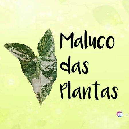 malucodasplantas