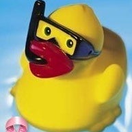 Quaxter