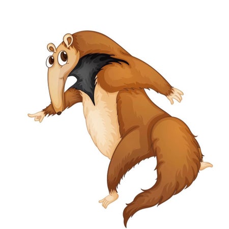 silly_anteater
