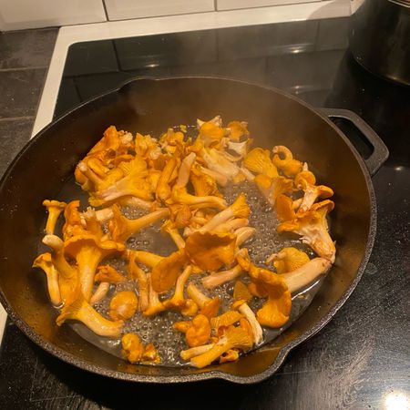 bonito1