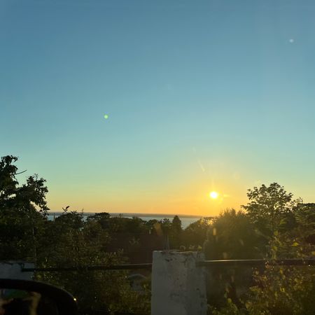 Marigonaakil