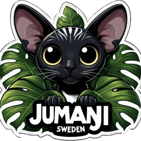 JumanjiSweden