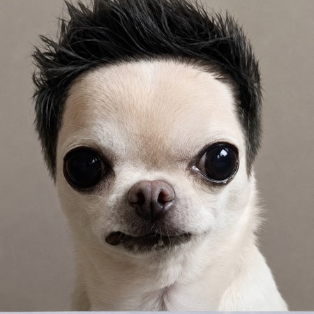 Johann3z