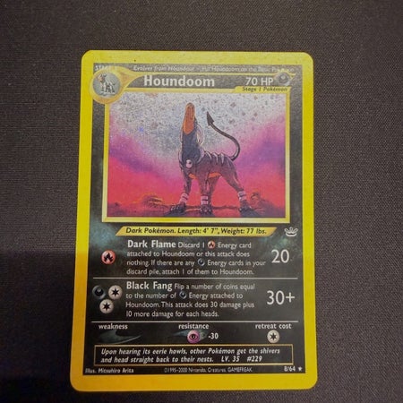 Wailord14