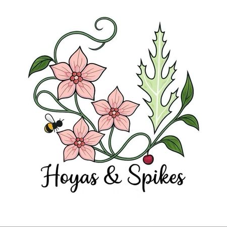 HOYASandSPIKES