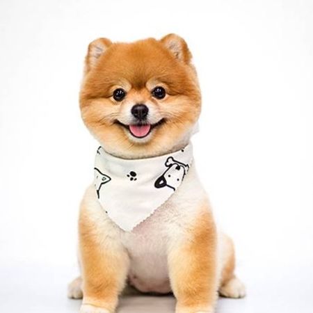 zhubin_0218