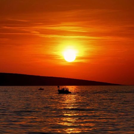 sure-footed_bsirini63