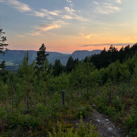 singsån