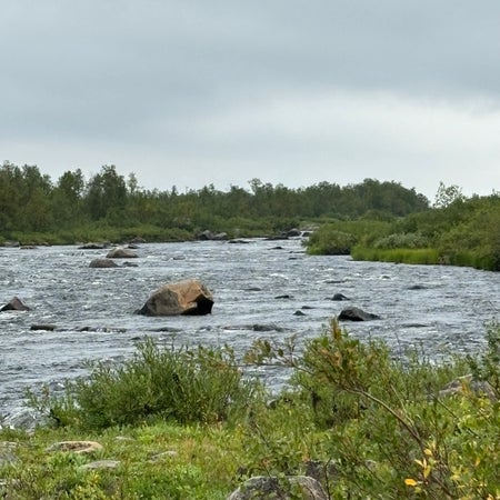 redington