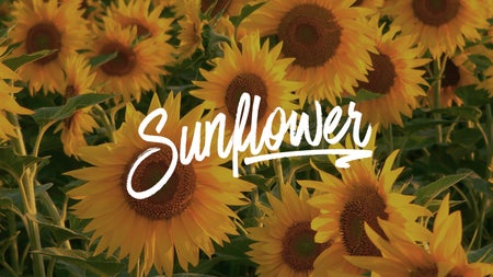 yelloflow