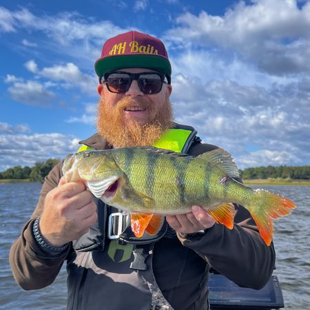 AHBaits
