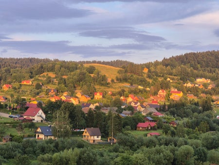 vasul